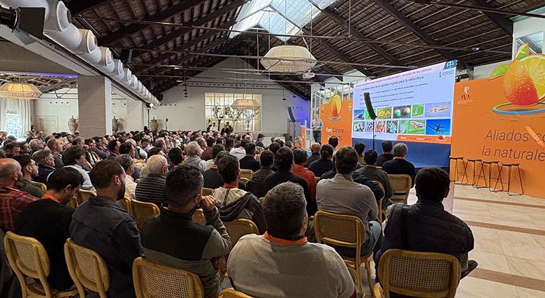 El futuro de la citricultura pasa por la innovación, la sostenibilidad y la lucha contra nuevas plagas