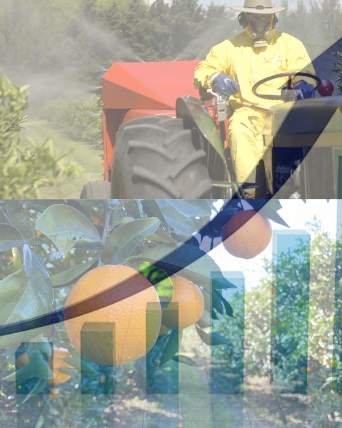 ESCALA SALARIAL correspondiente al mes de DICIEMBRE 2025