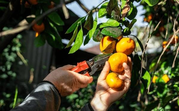 ESCALA SALARIAL correspondiente al mes de MARZO 2026