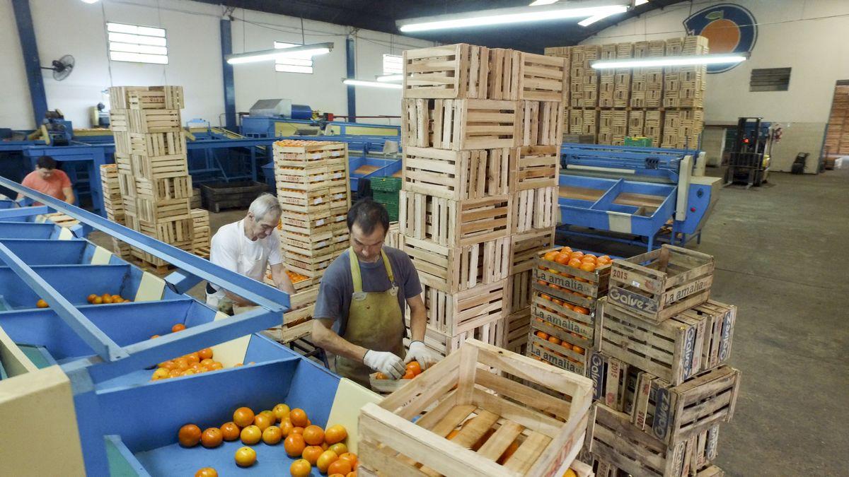 ESCALA SALARIAL correspondiente al mes de ABRIL 2026