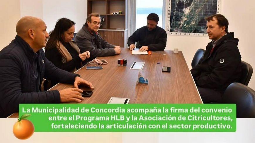 ¡Concordia continúa LIBRE DE HLB! 