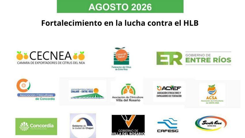 Informe monitoreo mes de Agosto 2026: Lucha contra el HLB.