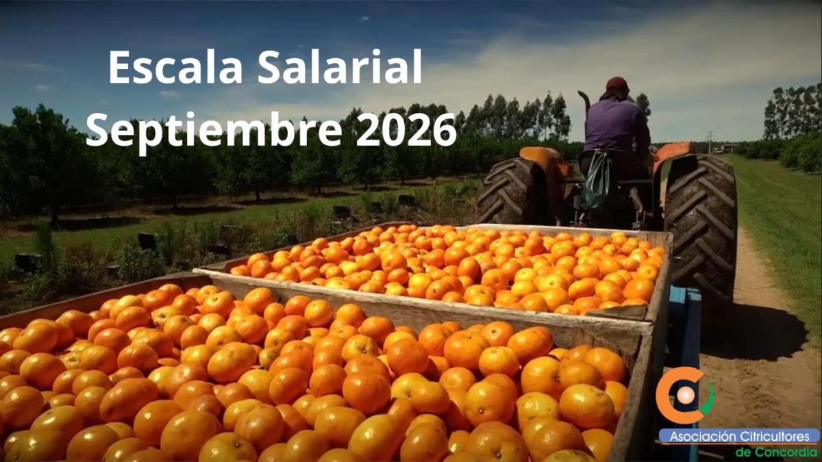 ESCALA SALARIAL correspondiente al mes de SETIEMBRE 2026